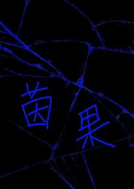 茵果(np) 茵果(np)