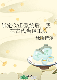绑定CAD系统后,我在古代当包工头 绑定CAD系统后,我在古代当包工头
