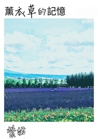 薰衣草的记忆 薰衣草的记忆