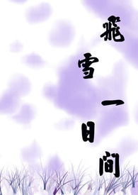 飞雪一日间 飞雪一日间