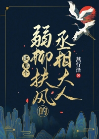 朕那个弱柳扶风的丞相大人 朕那个弱柳扶风的丞相大人