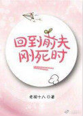 回到前夫刚死时 回到前夫刚死时