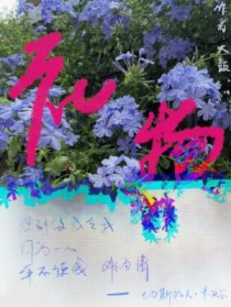 礼物 礼物