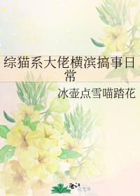 综猫系大佬横滨搞事日常 综猫系大佬横滨搞事日常