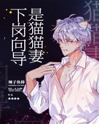下岗向导是猫猫妻 下岗向导是猫猫妻
