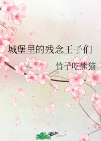 城堡里的残念王子们 城堡里的残念王子们