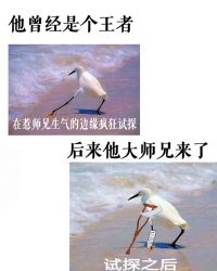 小师弟求你清醒一点 小师弟求你清醒一点