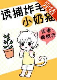诱捕炸毛小奶猫 诱捕炸毛小奶猫