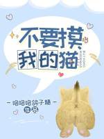 不要摸我的猫 不要摸我的猫