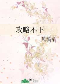 攻略不下 攻略不下