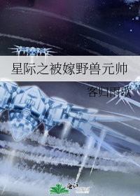 Ǽ֮ҰԪ˧