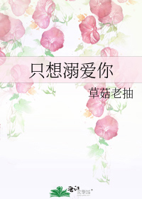 ֻ簮