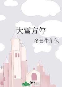 ѩͣ