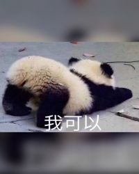 ֱ乴