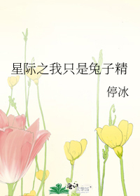 Ǽֻ֮Ӿ