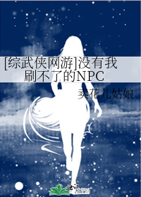 []ûˢ˵NPC