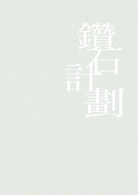 砖石计画 砖石计画