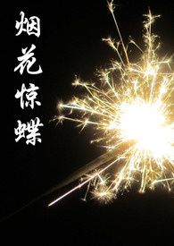 烟花惊蝶 烟花惊蝶