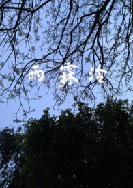 雨霖泠(sc,强制爱,前世今生) 雨霖泠(sc,强制爱,前世今生)